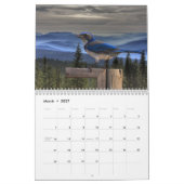 CALENDRIER D'OISEAU (Mar 2027)