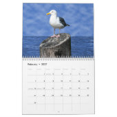 CALENDRIER D'OISEAU (Feb 2027)