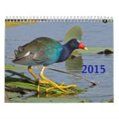 Calendrier d'oiseau de 2015 Nord-américains (Protection)