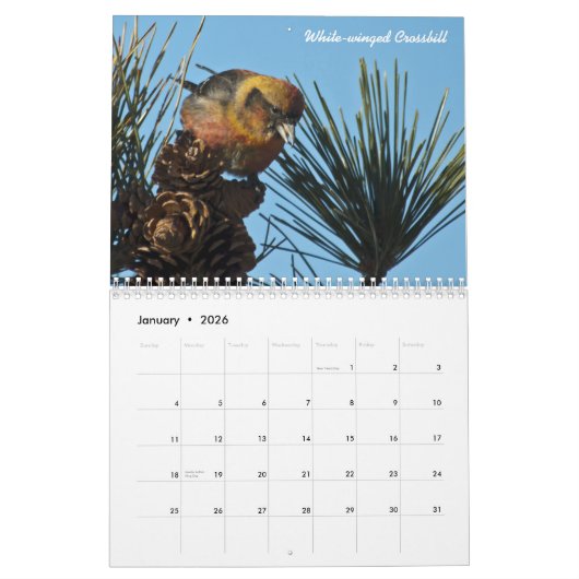 Calendrier d'oiseau de 2015 Nord-américains (Jan 2026)