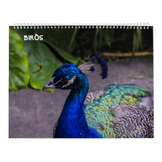 calendrier d'oiseaux