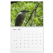 calendrier d'oiseaux (Mar 2027)