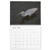 calendrier d'oiseaux (Jan 2027)
