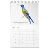 Calendrier d'oiseaux colorés 2026 (Mar 2027)
