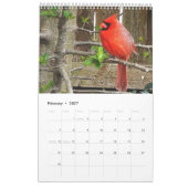 Calendrier d'oiseaux de jardin (Feb 2027)