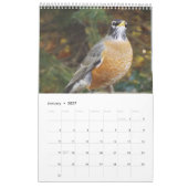 Calendrier d'oiseaux de jardin (Jan 2027)