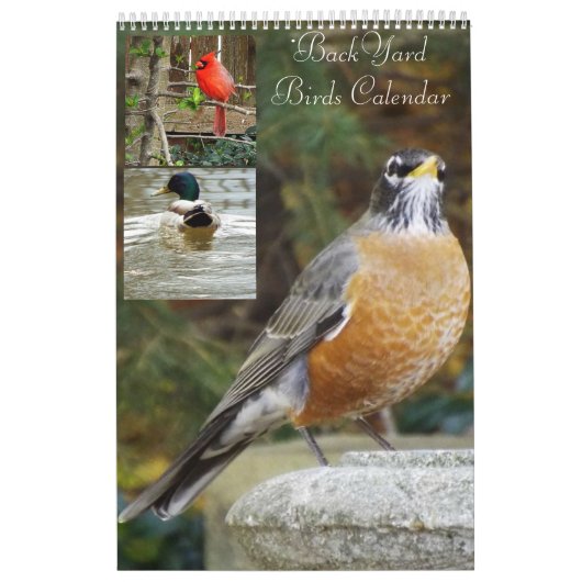 Calendrier d'oiseaux de jardin (Protection)