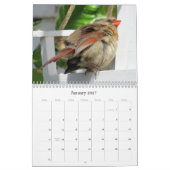 Calendrier d'oiseaux de jardin (nouveau pour 2018) (Jan 2027)