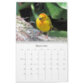 Calendrier d'oiseaux de jardin (nouveau pour 2018) (Mar 2026)
