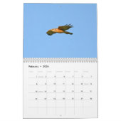 Calendrier d'oiseaux de marais (Feb 2026)