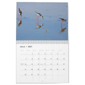 Calendrier d'oiseaux de marais (Mar 2027)