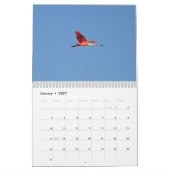 Calendrier d'oiseaux de marais (Jan 2027)