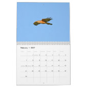 Calendrier d'oiseaux de marais (Feb 2027)