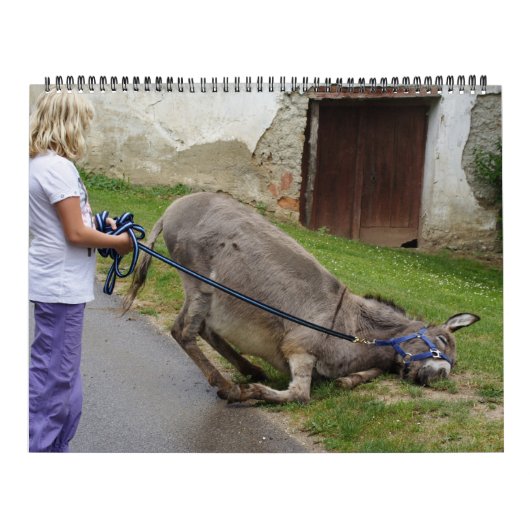 Calendrier Dons doux toute l'année (Protection)