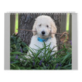 Calendrier Doodle Puppy Dog (Protection)