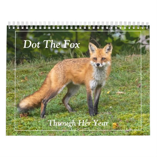Calendrier Dot Le Renard (Protection)