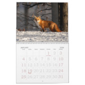 Calendrier Dot Le Renard (Jan 2026)