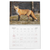 Calendrier Dot Le Renard (Mar 2026)
