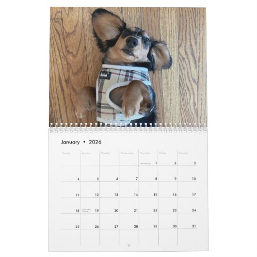 Calendrier double Dachshund (Jan 2026)