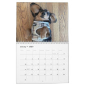 Calendrier double Dachshund (Jan 2027)