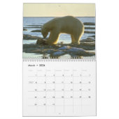 Calendrier d'ours (Mar 2026)
