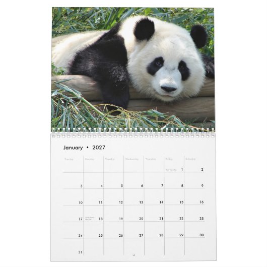 Calendrier d'ours (Jan 2027)