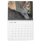 Calendrier Douze Belles Photos De Chats (Jan 2027)