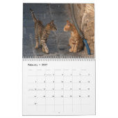Calendrier Douze Belles Photos De Chats (Feb 2027)