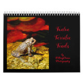 Calendrier Douze crapauds formidables (Protection)
