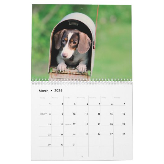 Calendrier Doxies (Mar 2026)