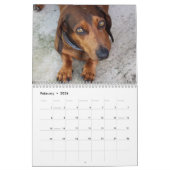 Calendrier Doxies (Feb 2026)