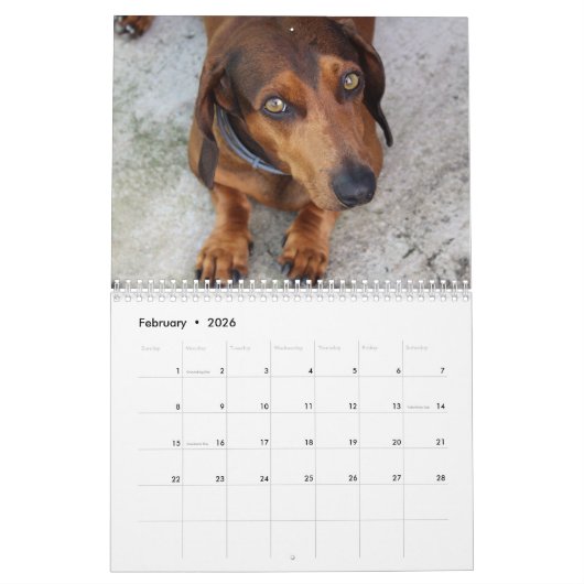 Calendrier Doxies (Feb 2026)