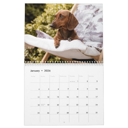 Calendrier Doxies (Jan 2026)