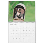 Calendrier Doxies (Mar 2027)