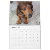 Calendrier Doxies (Feb 2027)