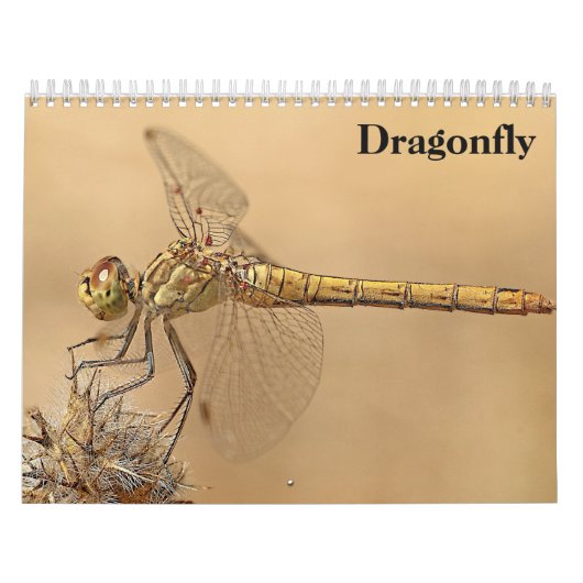 Calendrier Dragonfly 2025 (Protection)