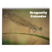 Calendrier Dragonfly 2025 (Protection)