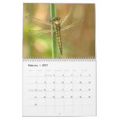 Calendrier Dragonfly 2025 (Feb 2027)