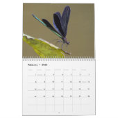 Calendrier Dragonfly 2025 (Feb 2026)