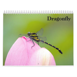 Calendrier Dragonfly 2025