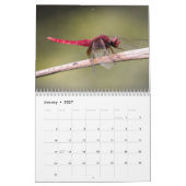 Calendrier Dragonfly 2025 (Jan 2027)