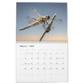 Calendrier Dragonfly 2025 (Feb 2026)