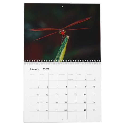 Calendrier Dragonfly 2025 (Jan 2026)