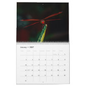 Calendrier Dragonfly 2025 (Jan 2027)