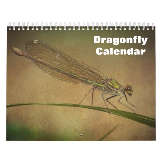 Calendrier Dragonfly 2025 (Protection)