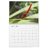 Calendrier Dragonfly 2025 (Mar 2027)