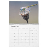 Calendrier Dragonfly 2025 (Jan 2027)