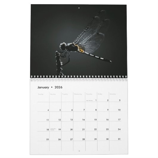 Calendrier Dragonfly 2026 (Jan 2026)