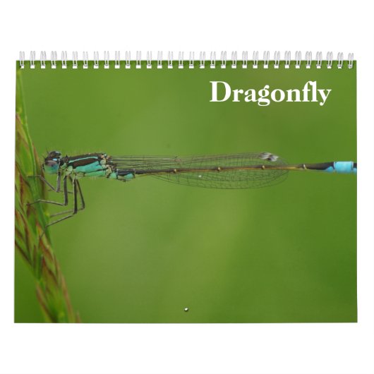 Calendrier Dragonfly 2027 (Protection)