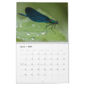 Calendrier Dragonfly 2027 (Mar 2027)